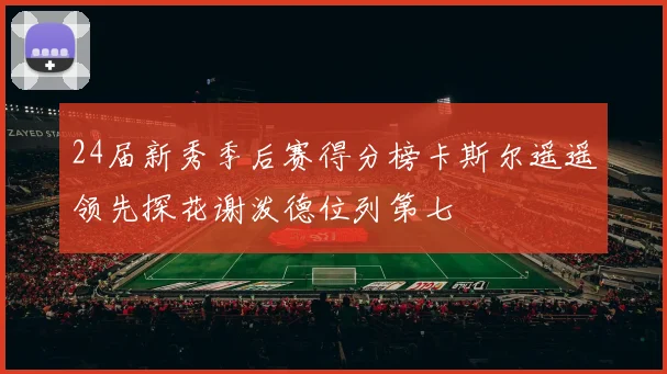 24届新秀季后赛得分榜卡斯尔遥遥领先探花谢泼德位列第七